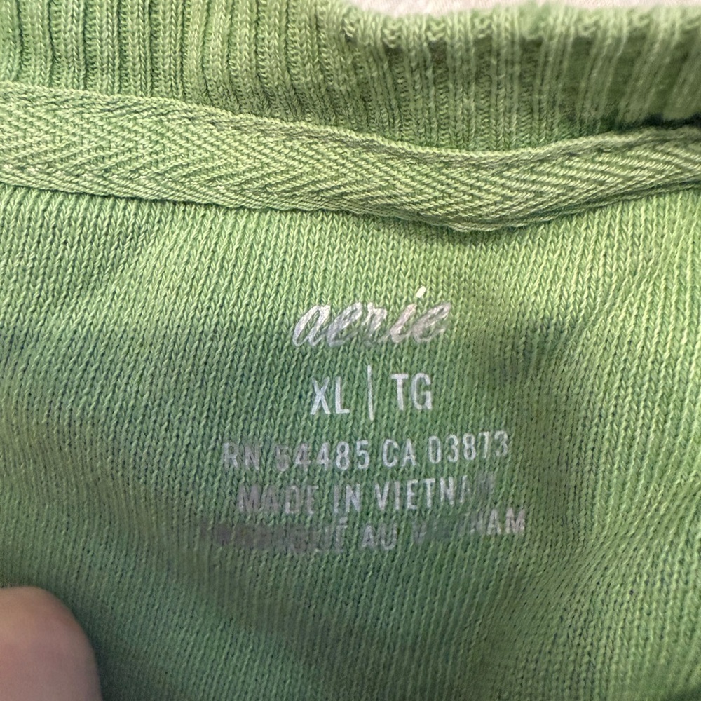 Aerie Take It Easy Tiger 100% Cotton Green Sweatshirt NWT XL - Picture 3 of 10